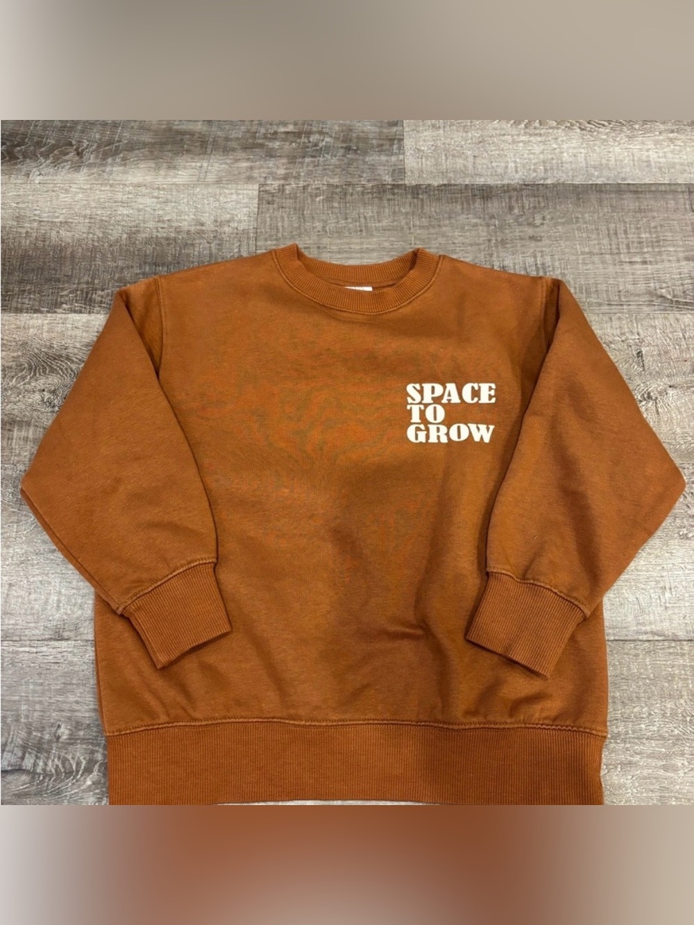 Zara Rust Orange 'Space To Grow' Crewneck Sweater